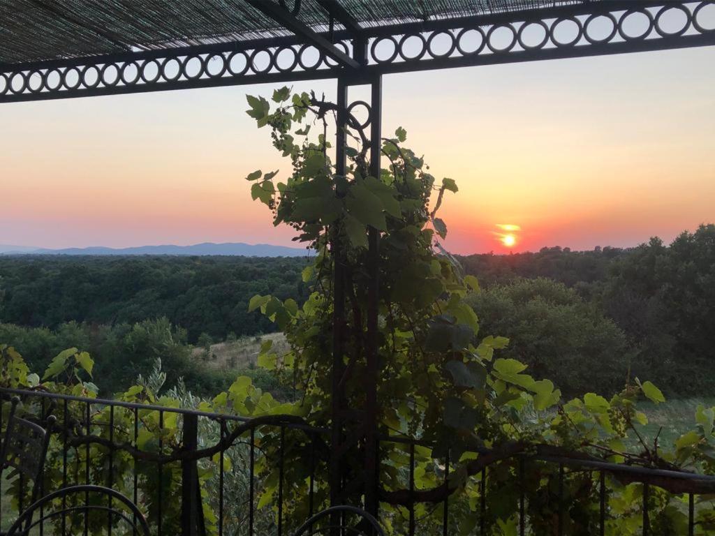 Agriturismo Cerrosughero Canino ภายนอก รูปภาพ