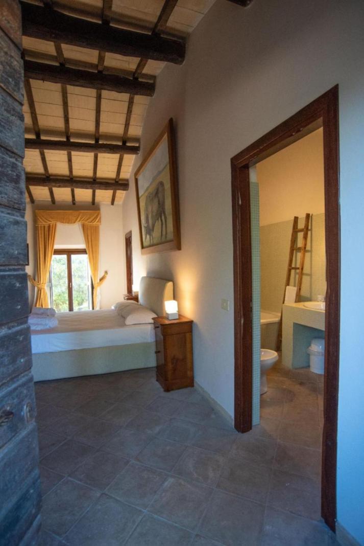 Agriturismo Cerrosughero Canino ภายนอก รูปภาพ