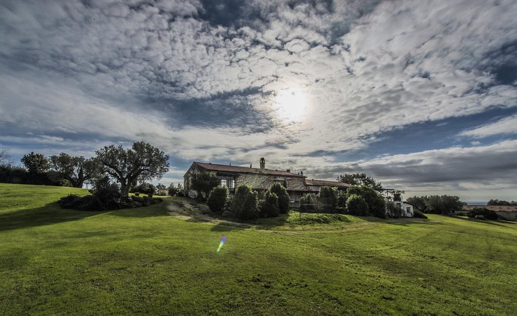 Agriturismo Cerrosughero Canino ภายนอก รูปภาพ